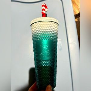 STARBUCKS Tumbler Disneyland Winter Exclusive
